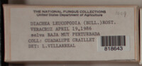 Image Associated With the Occurence
